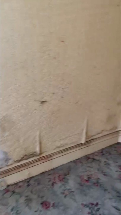 Gloucester house clearance
