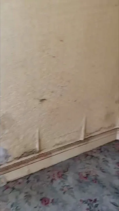Gloucester house clearance