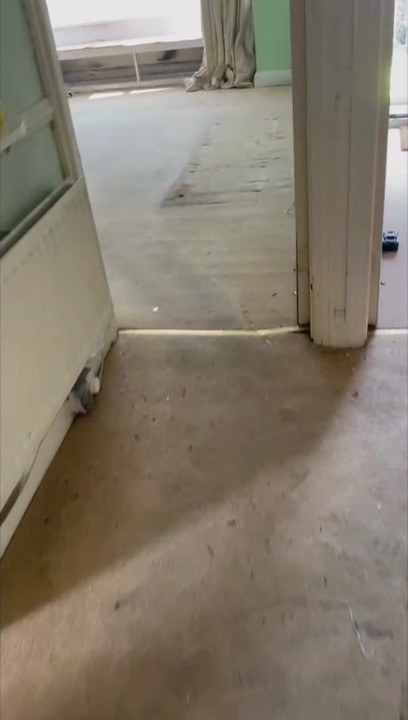Gloucester house clearance