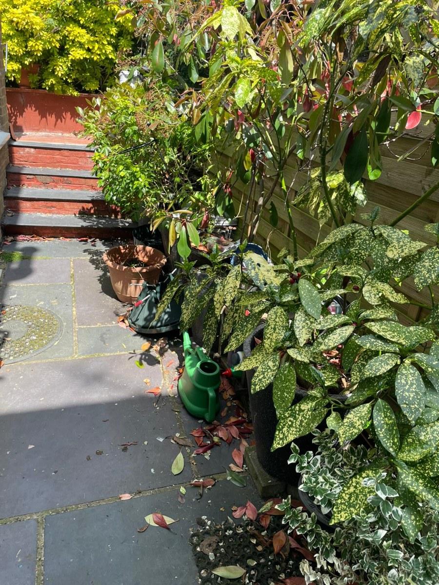 Gloucester house clearance