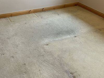 Roath house clearance