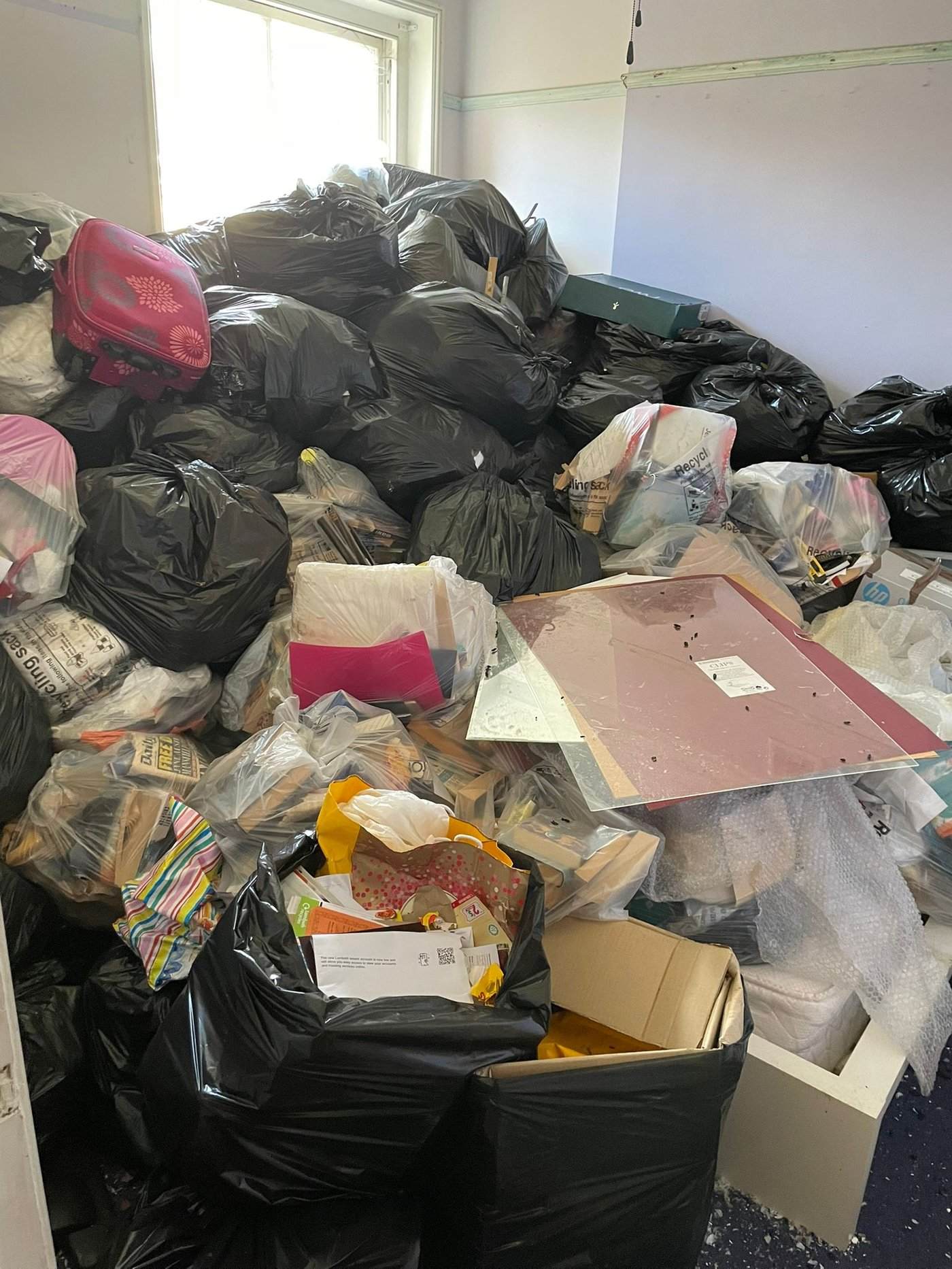 Verminous clearance — before