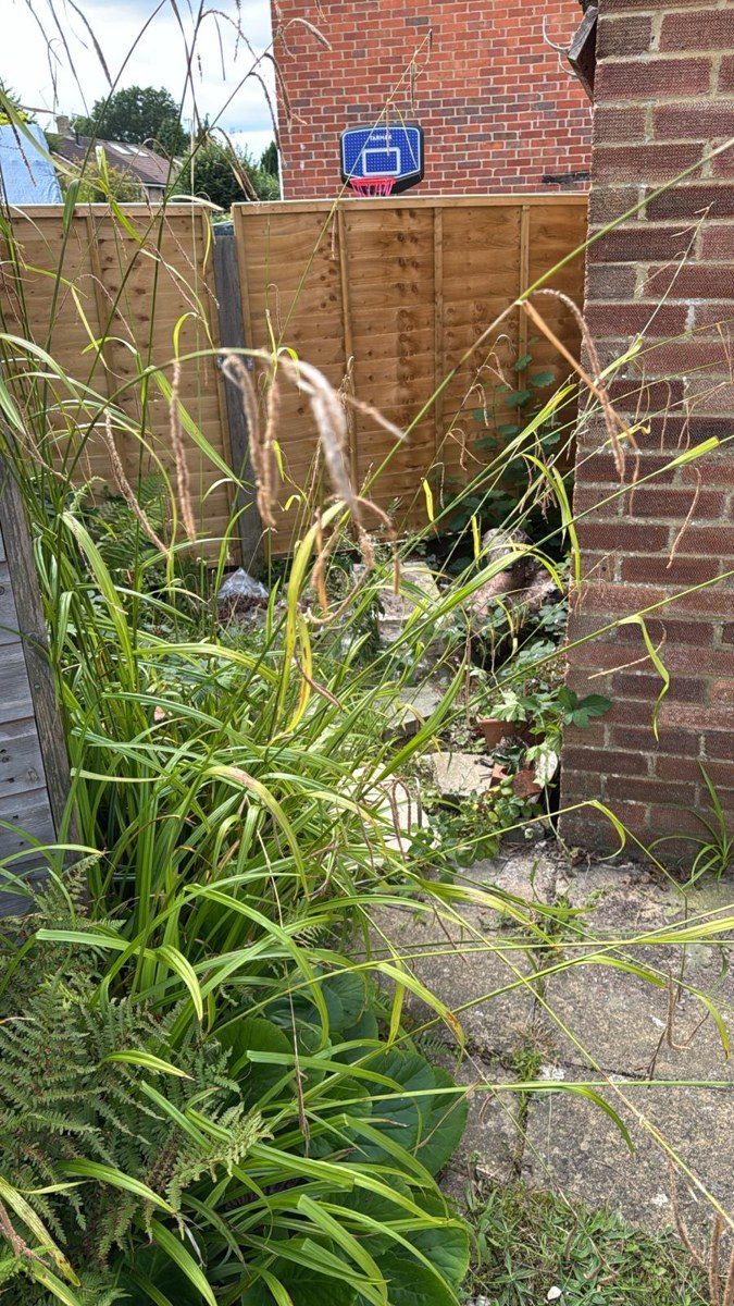 Cheylesmore house clearance
