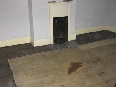 Headingley verminous clearance