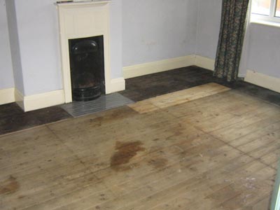 Headingley verminous clearance