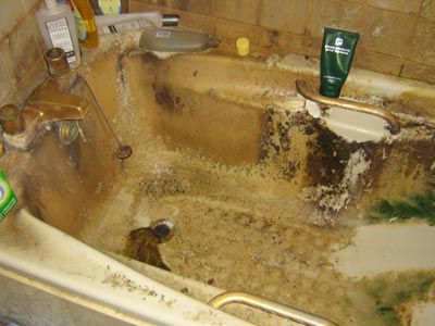 Allerton verminous clearance