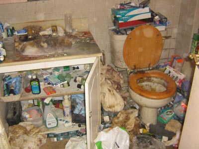 Allerton verminous clearance