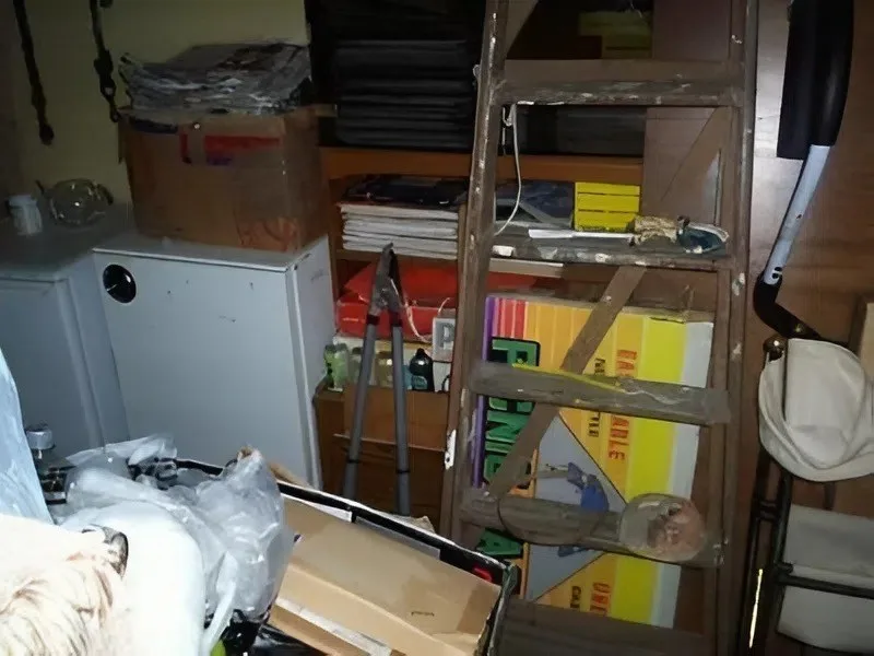 Alnwick mansion clearance