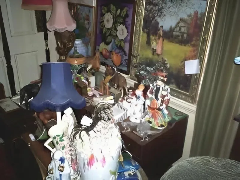 Alnwick mansion clearance