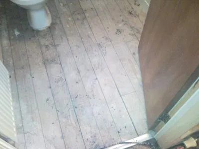 Abington house clearance