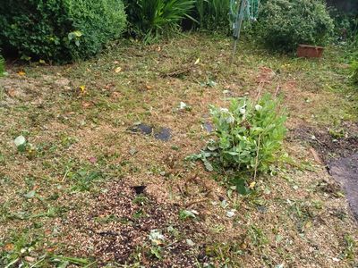 Hillsborough house clearance