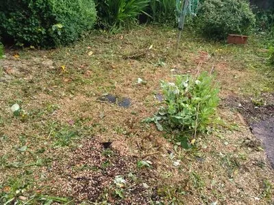 Hillsborough house clearance