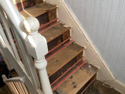 Hazel Grove verminous clearance