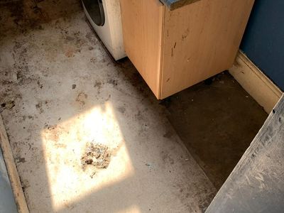 Hazel Grove verminous clearance