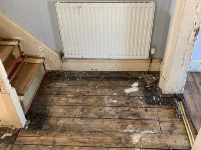 Hazel Grove verminous clearance