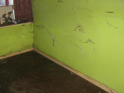 After — Bainbridge