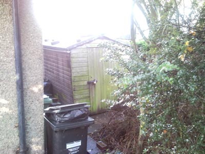 Bainbridge verminous clearance