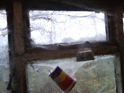 Bainbridge verminous clearance