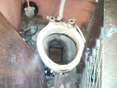 Bainbridge verminous clearance