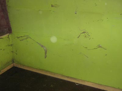 Bainbridge verminous clearance