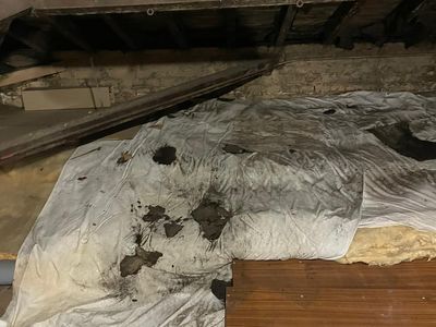 Harrogate flat clearance