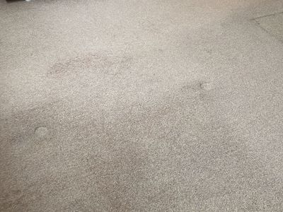Harrogate flat clearance