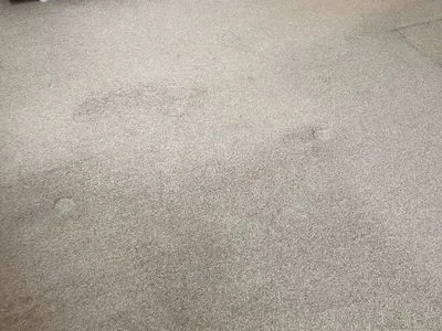 Harrogate flat clearance